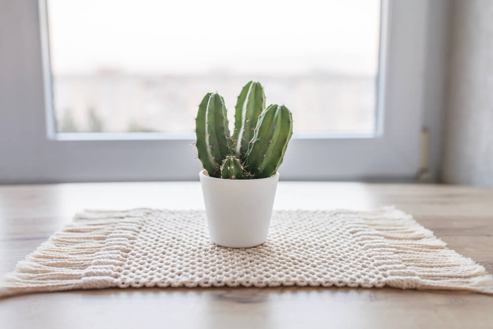How to Clean Yarn Rugs